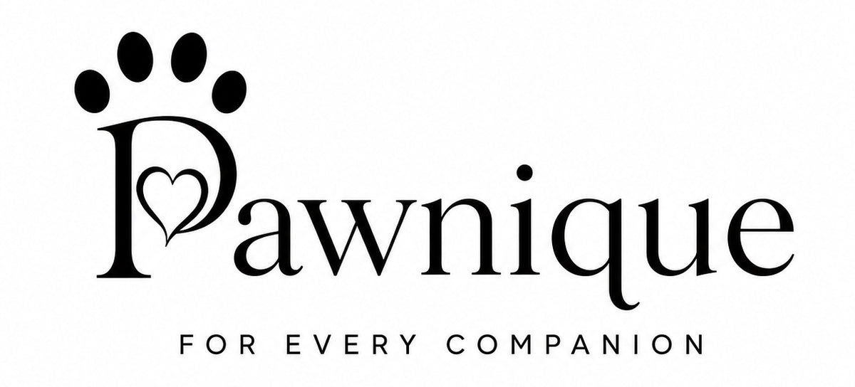 Pawnique
